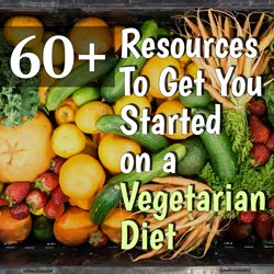 60+ resources to get you started on a vegetarian diet #vegetarian #vegan | 