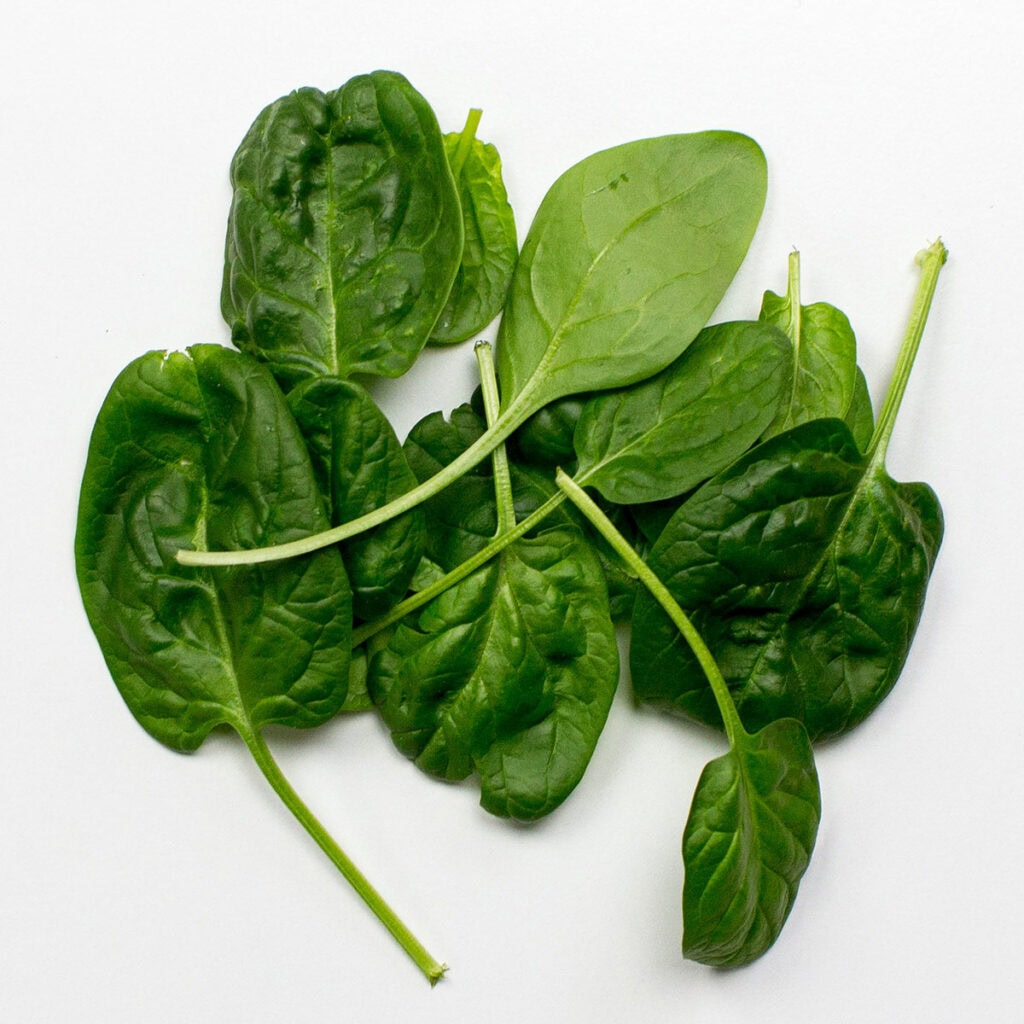 Baby spinach on white background