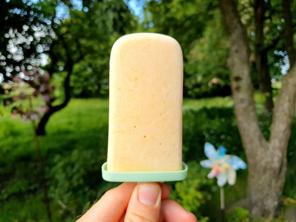 Peach popsicle in a hand