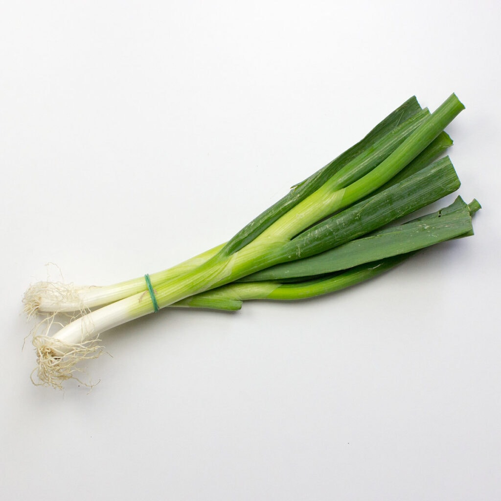 Spring onions on white background