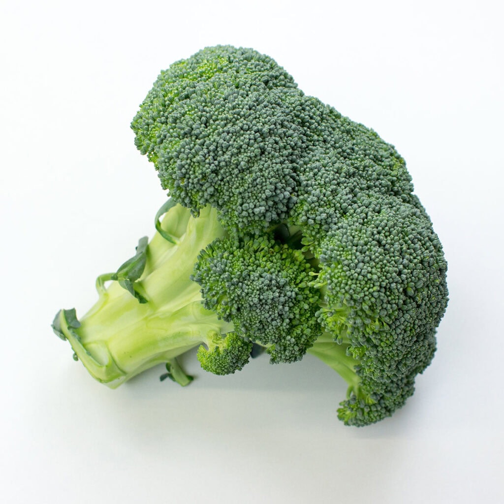 Broccoli on white surface