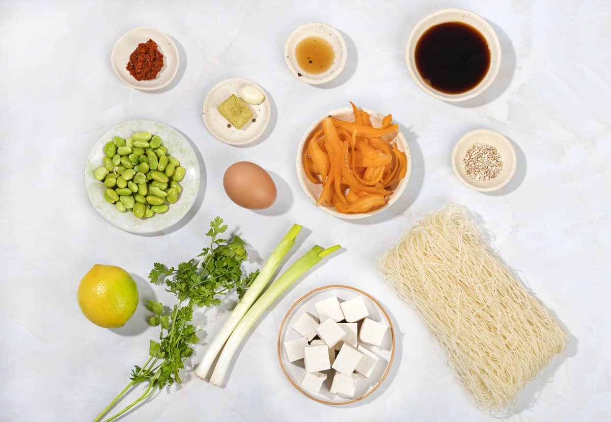 Edamame beans, an egg, tofu cubes, spring onions, noodles, carrots, soy sauce and other ingredients | Hurry The Food Up