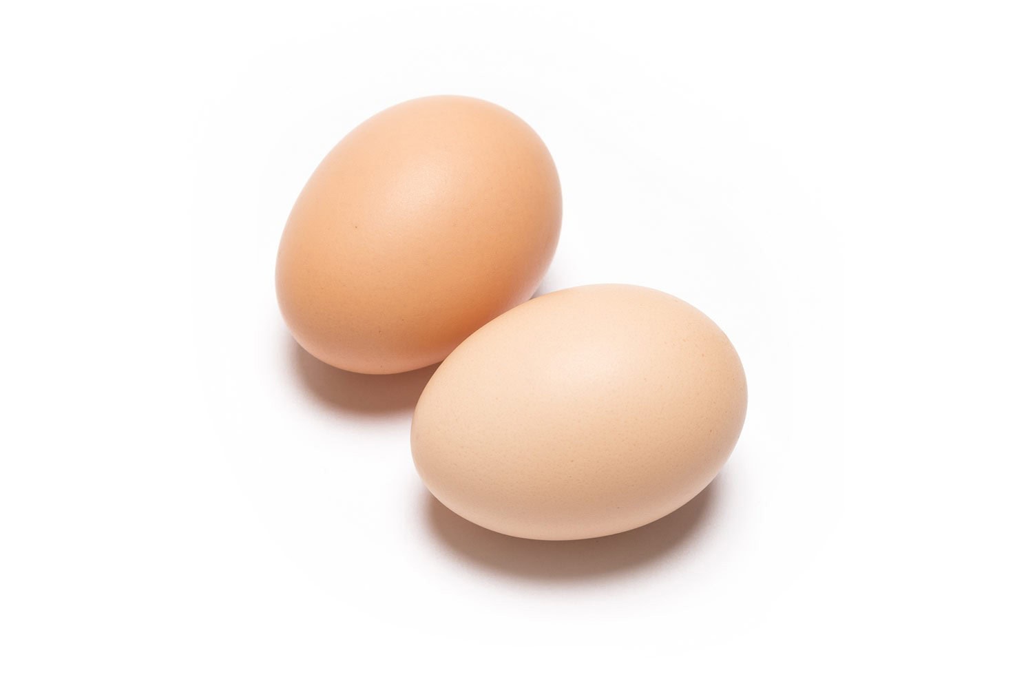 Two eggs on a white background | Hurry The Food Up