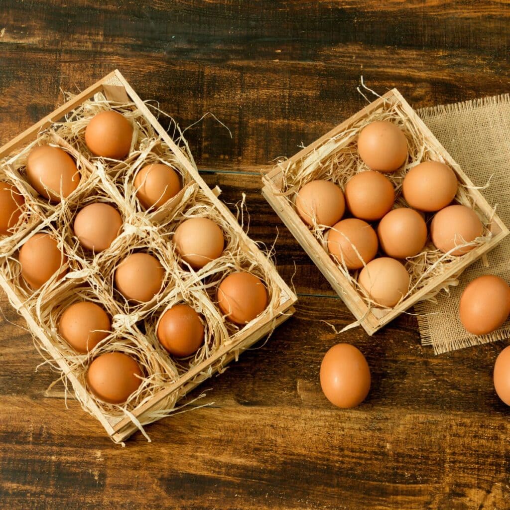 How Much Protein Is in an Egg: The Real Truth
