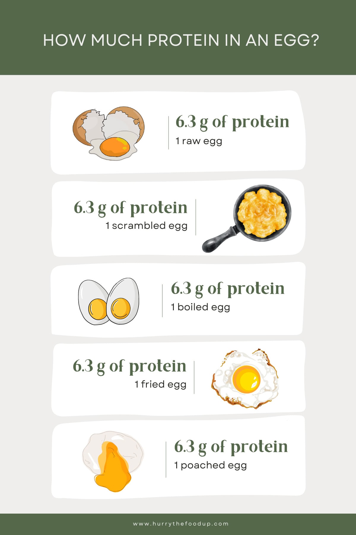Infographic of How Much Protein is in an Egg | Hurry The Food Up